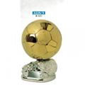 Trofeo calcio pallone oro base argento 2225/3